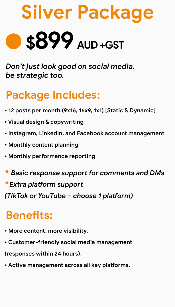 Content Mundo Social Media Silver Plan